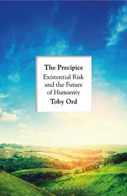 Cover of The Precipice