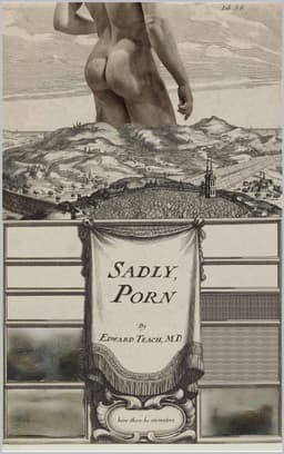 Cover of Sadly, Porn